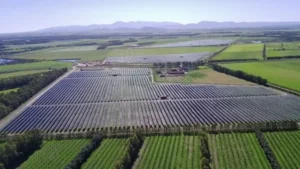 Vista aerea dell'impianto agrivoltaico avanzato Pimpisu a Serramanna, in Sardegna, con le file di pannelli su inseguitori tra campi e frutteti